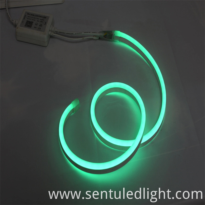 Shenzhen Factory Price SMD5050 RGB Color Christmas Lights for Home